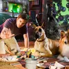 Marmaduke
