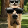Marmaduke