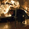 quantum of solace