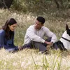 seven pounds