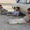 the hangover
