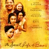 Film The Secret Life of Bees