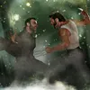 wolverine