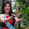 Pemilihan Putri Indonesia 09