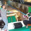 Fitri Tropica