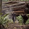 After Earth