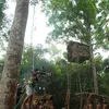 Lost In Papua
