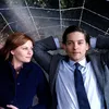 The Amazing Spider-Man