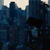 the dark knight rises