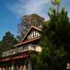 The Perfect House