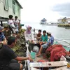 Serdadu Kumbang