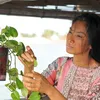 Air Mata Terakhir Bunda