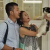 Aku Cinta Kamu
