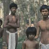 Sokola Rimba