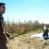 Looper