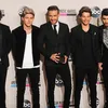 American Music Awards 2013