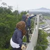 Remaja Panjat Papan Ipoh