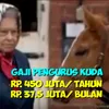 foto unik, foto kreatif, foto lucu, foto aneh
