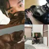 Aktor Korea Ganteng Pecinta Kucing