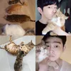 Aktor Korea Ganteng Pecinta Kucing