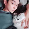 Aktor Korea Ganteng Pecinta Kucing