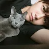 Aktor Korea Ganteng Pecinta Kucing