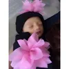 Anak Anang dan Ashanty