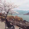 Marissa L Nasution