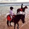 Farah Quinn & Armand