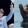 shotaro nct berang berang
