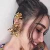 Ayu Ting Ting - Rinaldy Yunardi