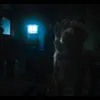 Sinopsis film Good Boy