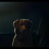Sinopsis film Good Boy