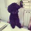 Taeyeon Girls Generation