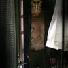 friday the 13th