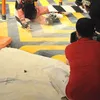 maju terus pantang mundur
