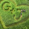 Gnomeo And Juliet