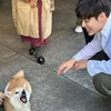 Instagram Kang Ha Neul