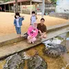 liburan seleb, nycta gina kinos