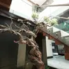 rumah rachel vennya