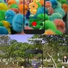 Pokemon Go