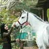 Shireen Sungkar Ikut Kompetisi Berkuda
