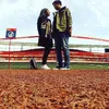 Stachy Lubis &amp; Ditto Rukmana