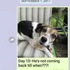 Pesan Menyentuh Dalam Setahun