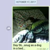 Pesan Menyentuh Dalam Setahun