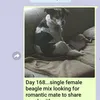 Pesan Menyentuh Dalam Setahun