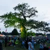 Latitude Festival