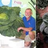 Buah dan Sayur Terbesar di Dunia
