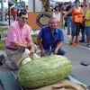 Buah dan Sayur Terbesar di Dunia