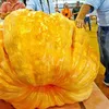 Buah dan Sayur Terbesar di Dunia